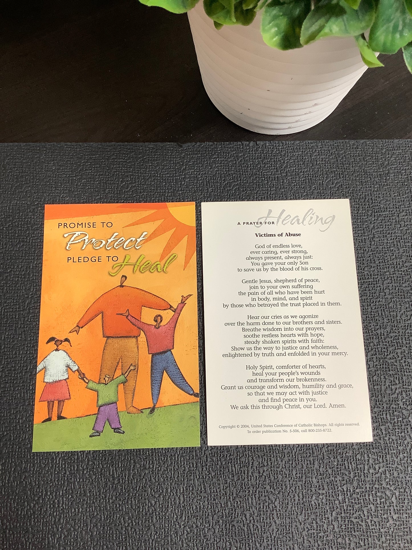 Promise to Protect Pledge to Heal Paper Prayer Card