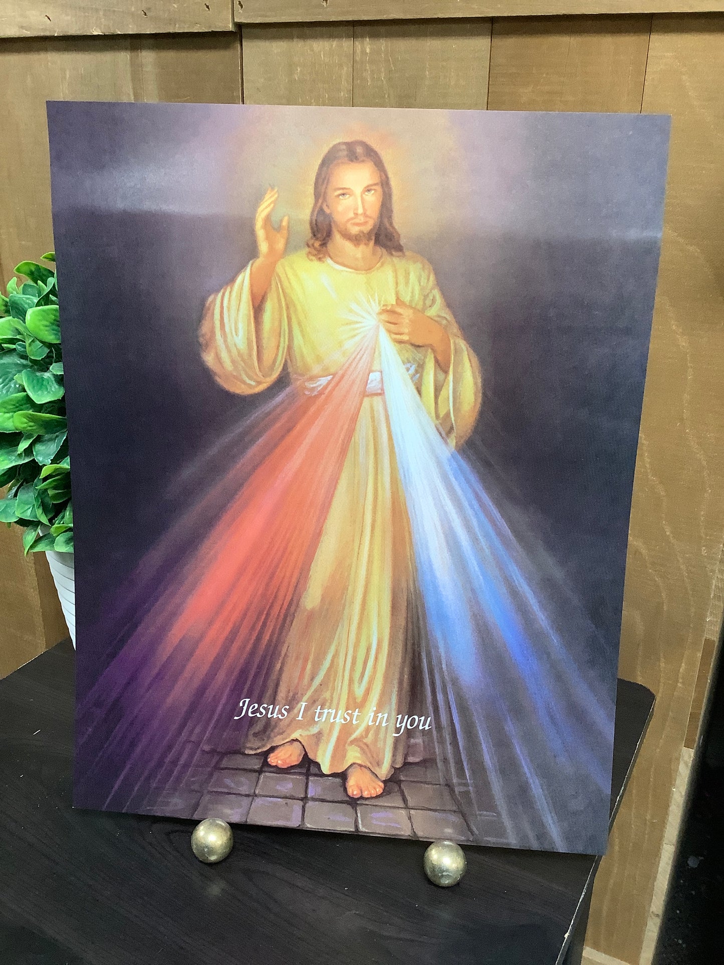 11x14 Print Divine Mercy