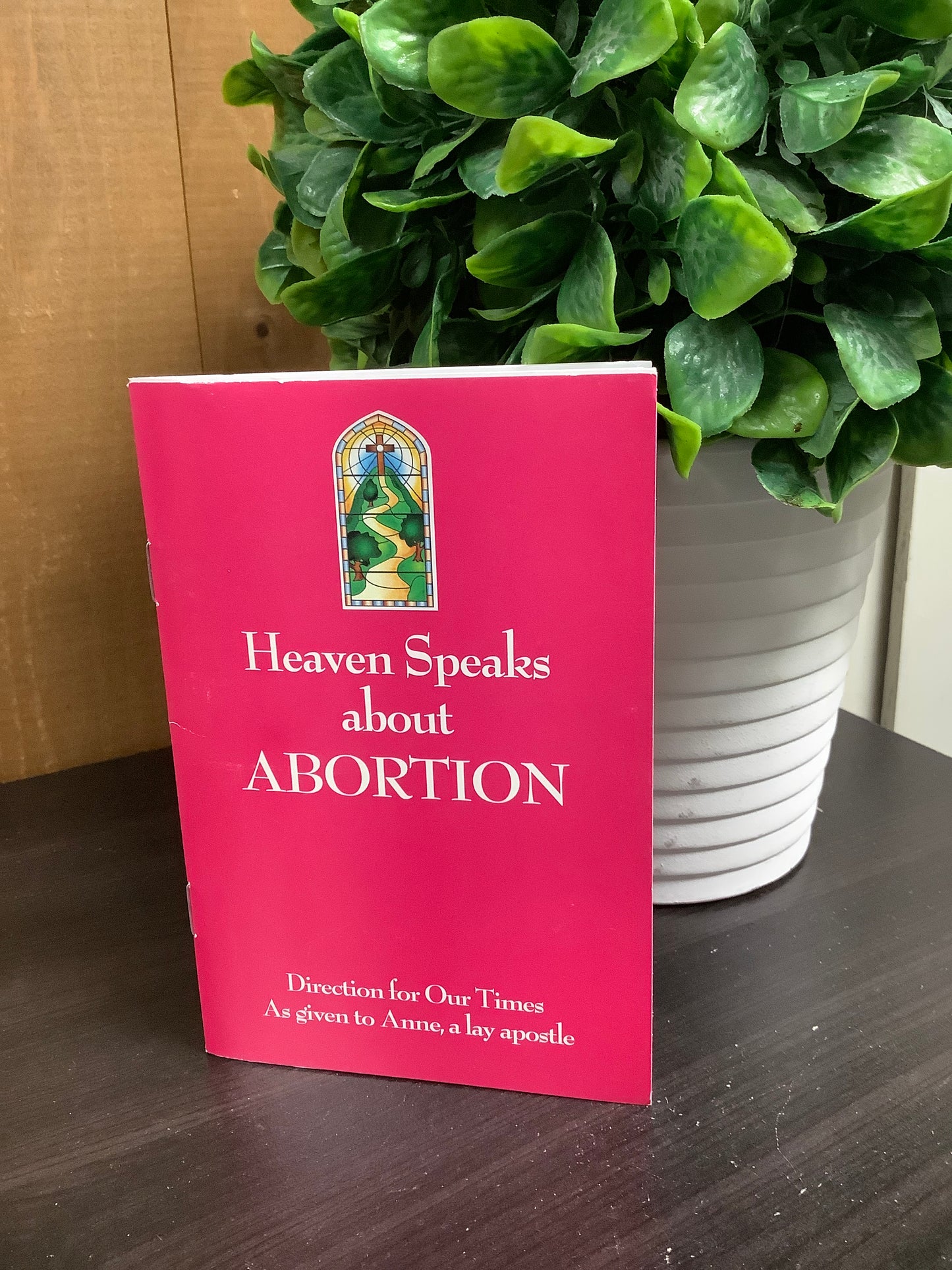 Heaven Speaks About Abortion