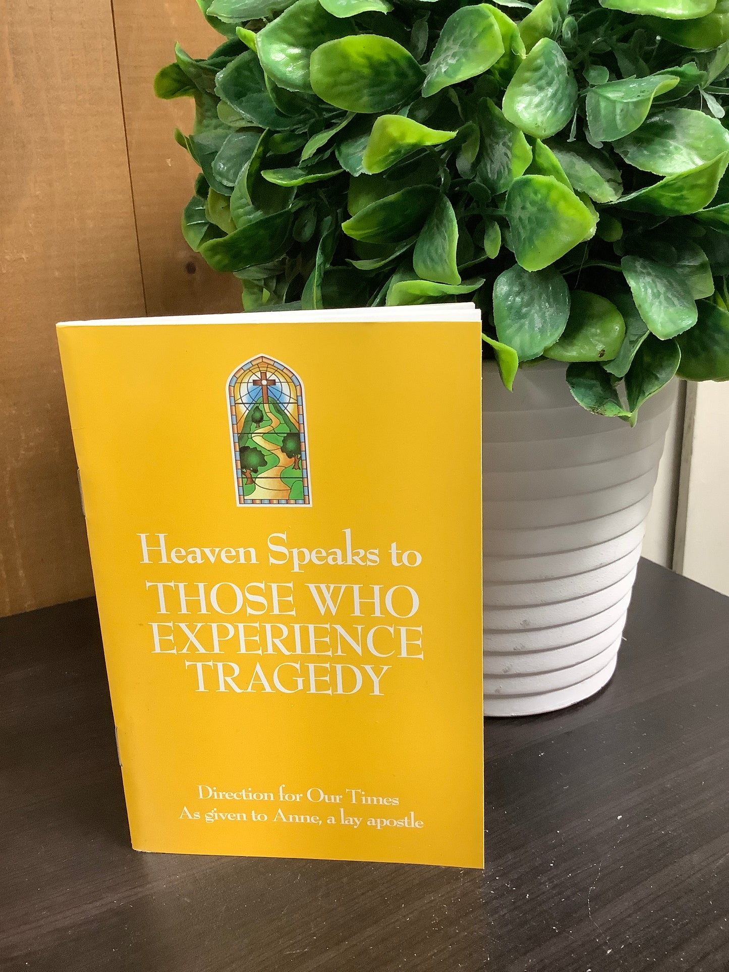 Heaven Speaks to Those Who Experience Tragedy