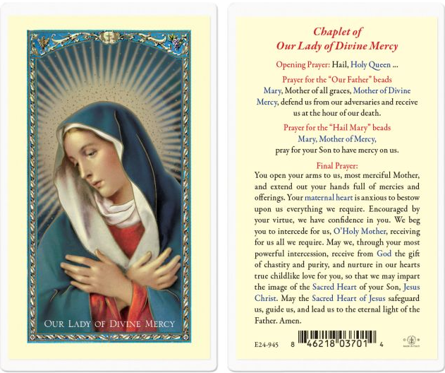 Chaplet of Our Lady of Divine Mercy Holy Card