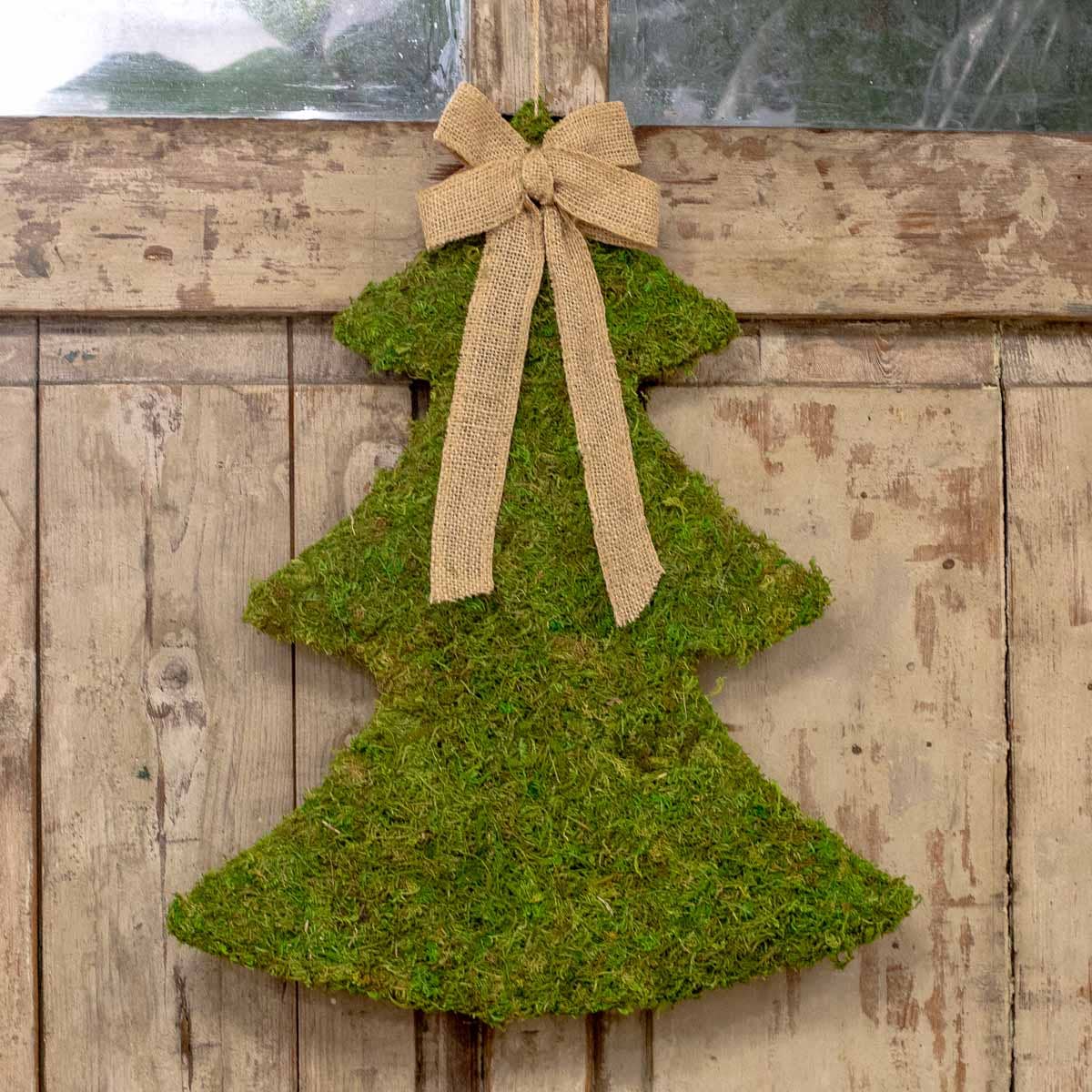 Moss Tree Hanging Green 16x20