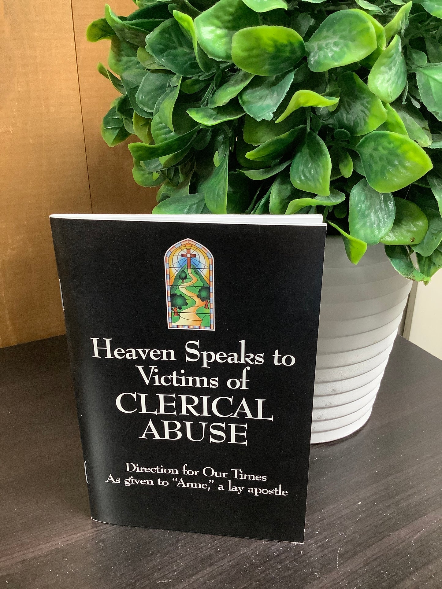 Heaven Speaks to Victims of Clerical Abuse