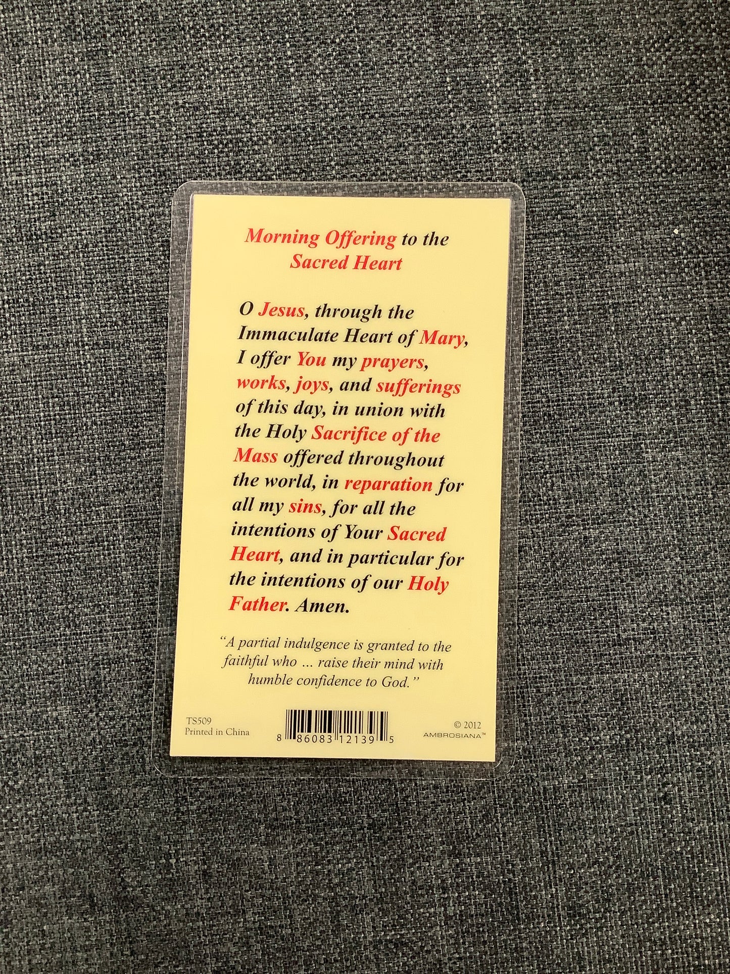 Morning Offering to the Sacred Heart of Jesus Prayer Card