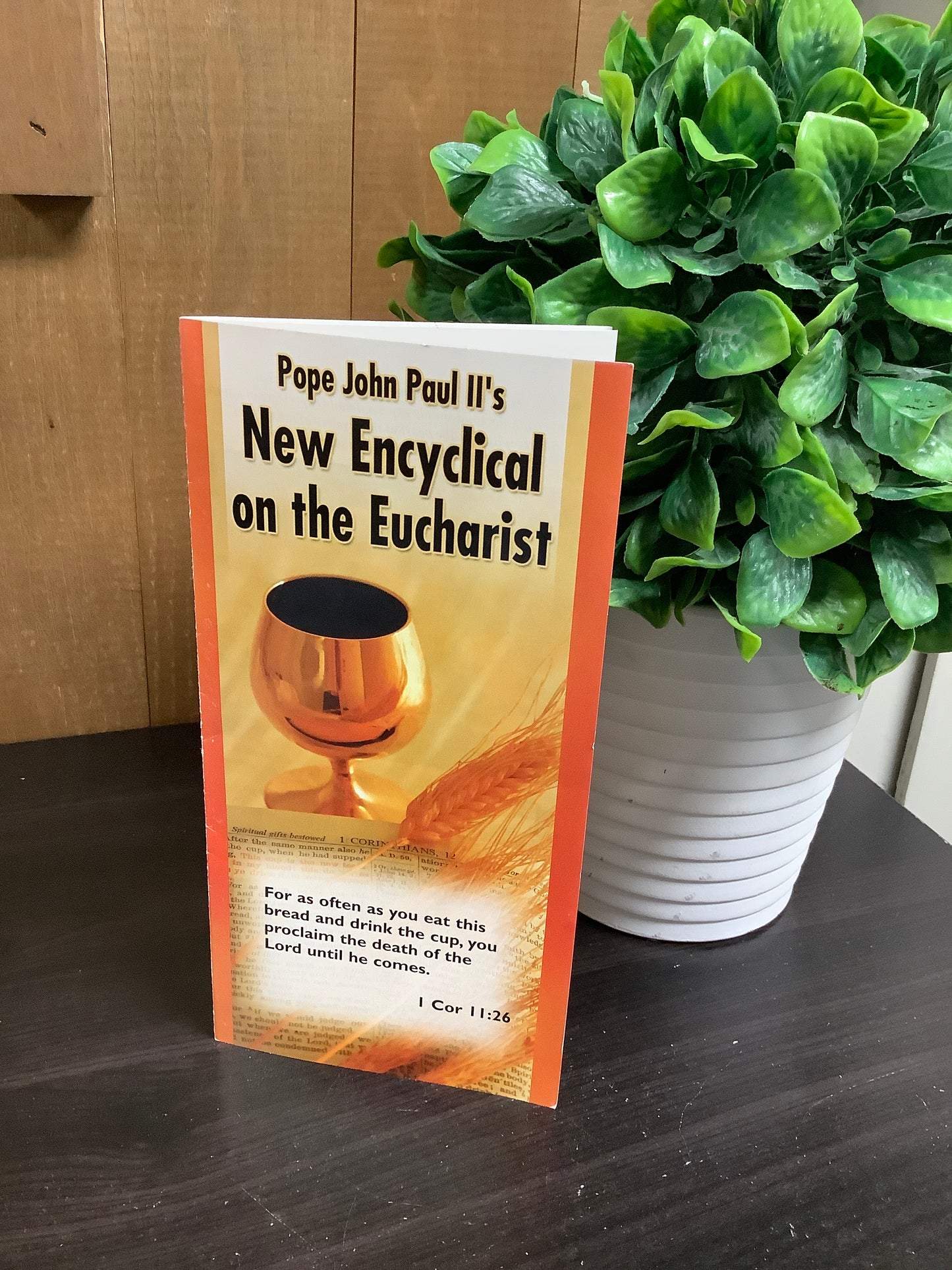 Pope John Paul II's New Encyclical on the Eucharist Pamphlet