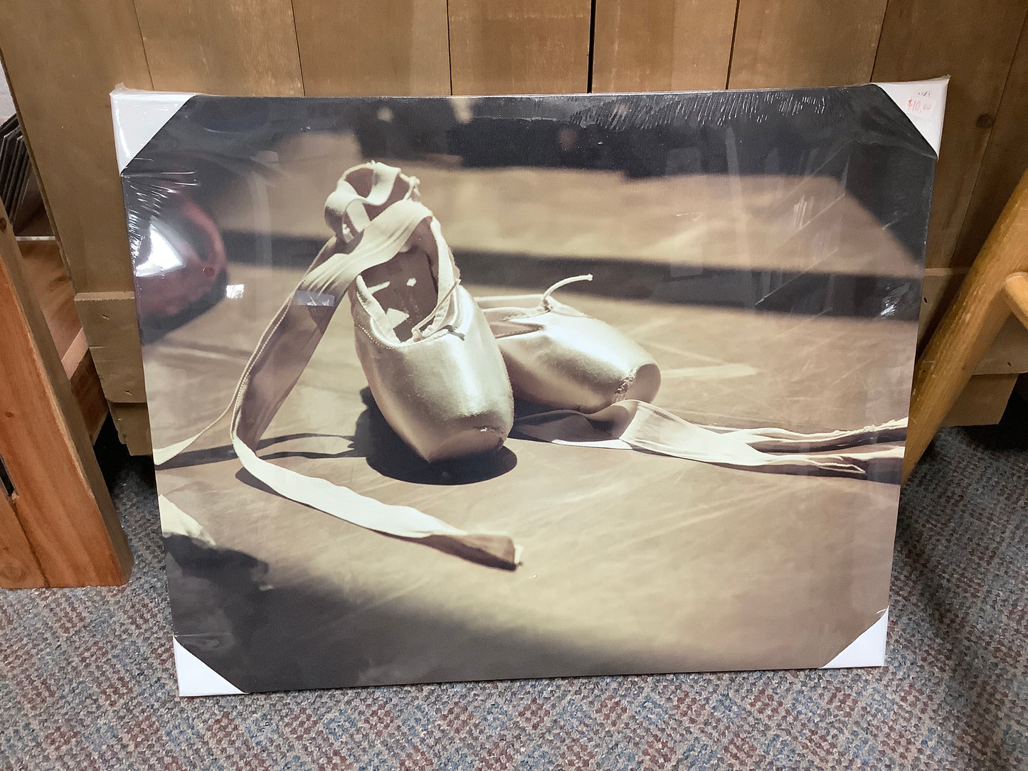 Ballet Shoes Picture