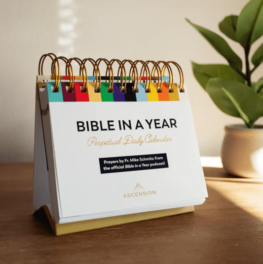Bible In A Year Perpetual Daily Calendar