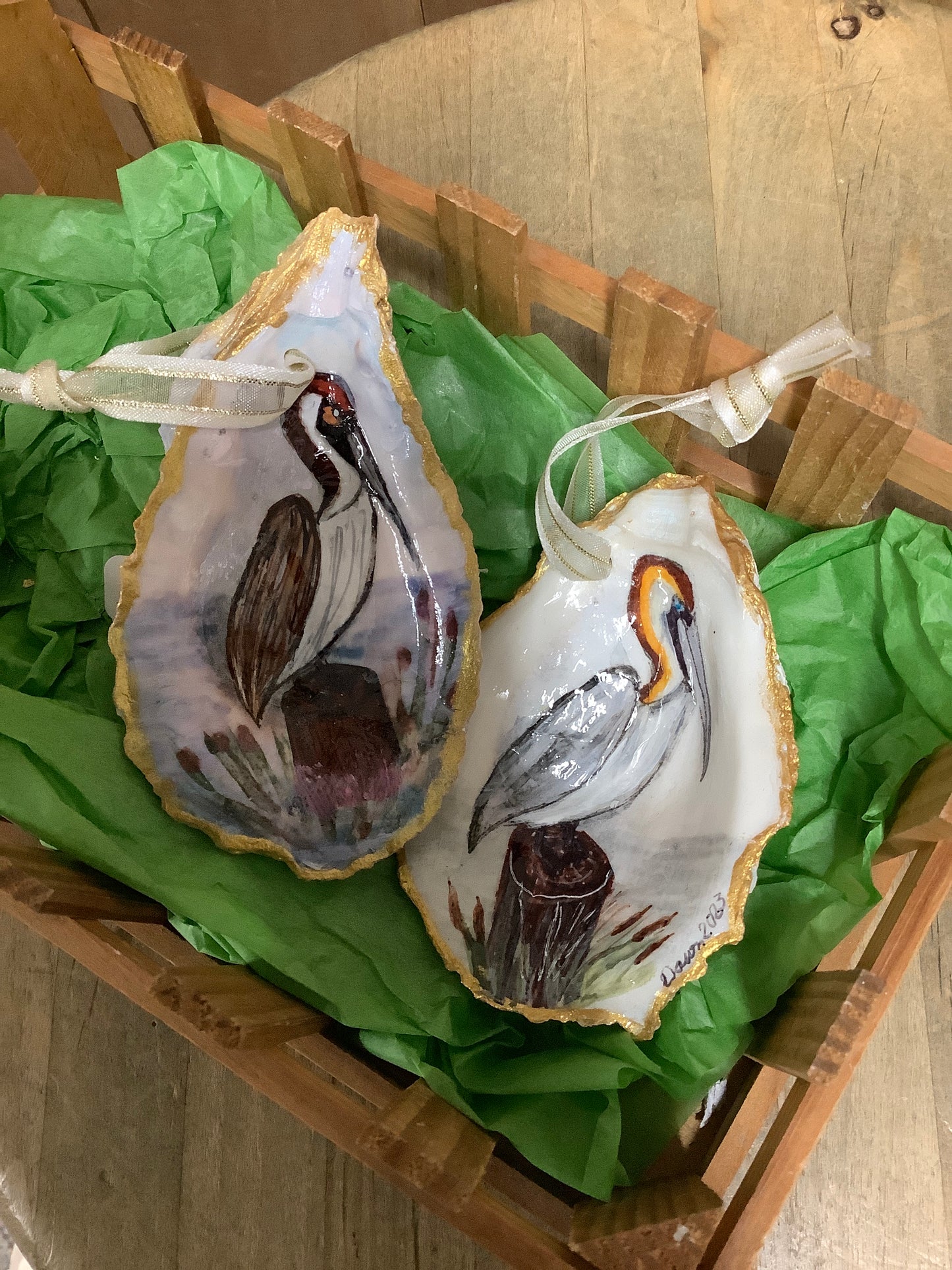 Pelican Oyster Shell