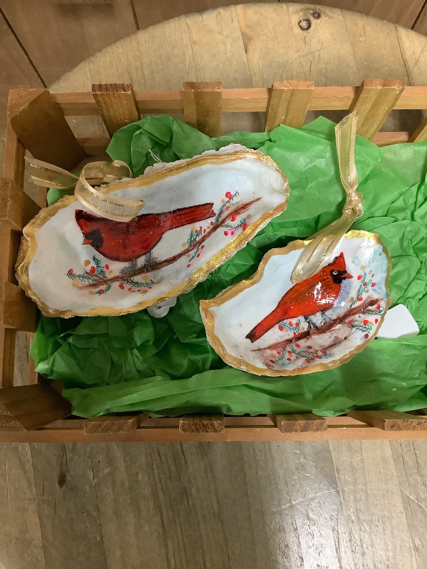 Cardinal Oyster Shell