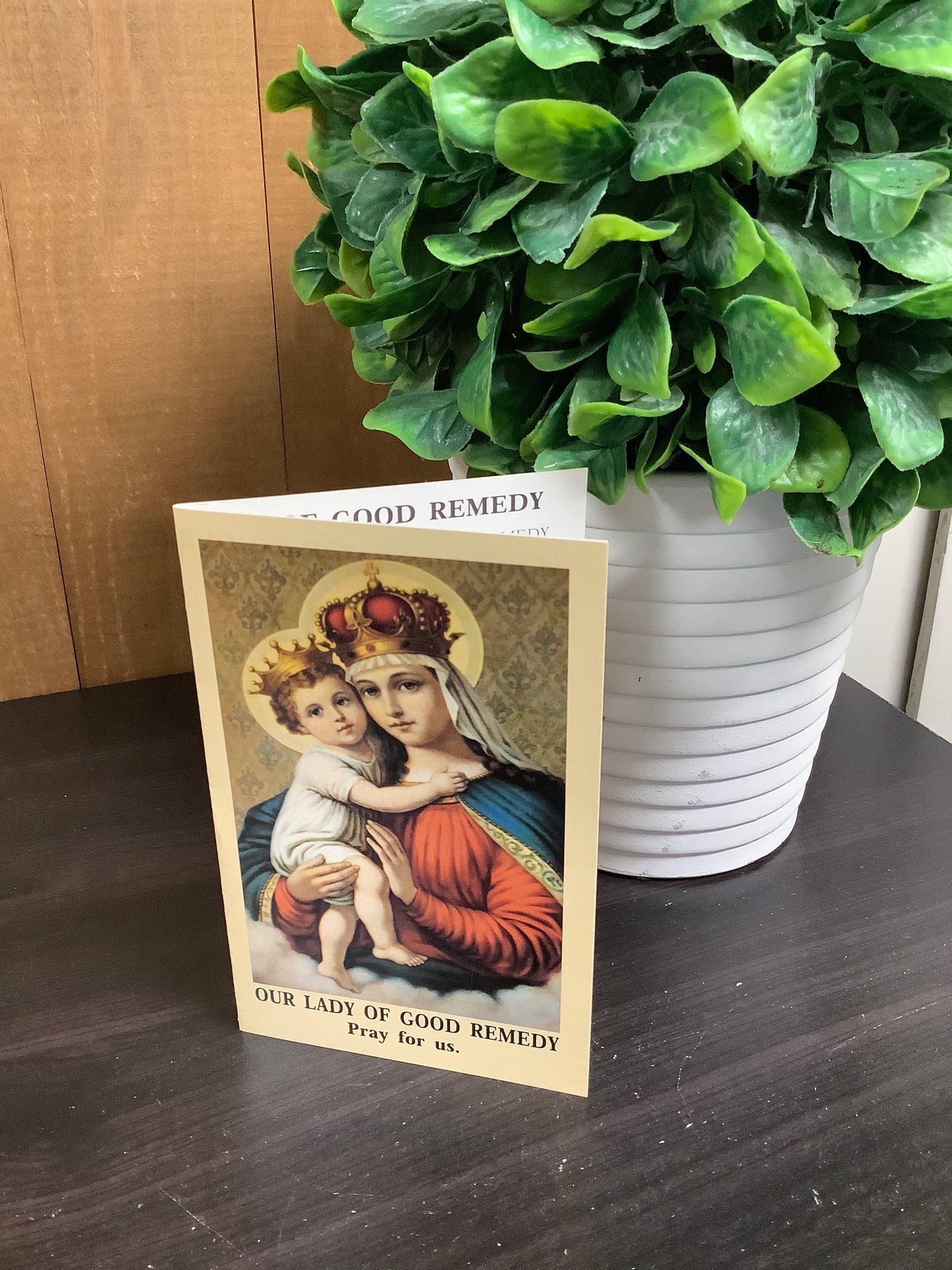 Our Lady of Good Remedy Prayer