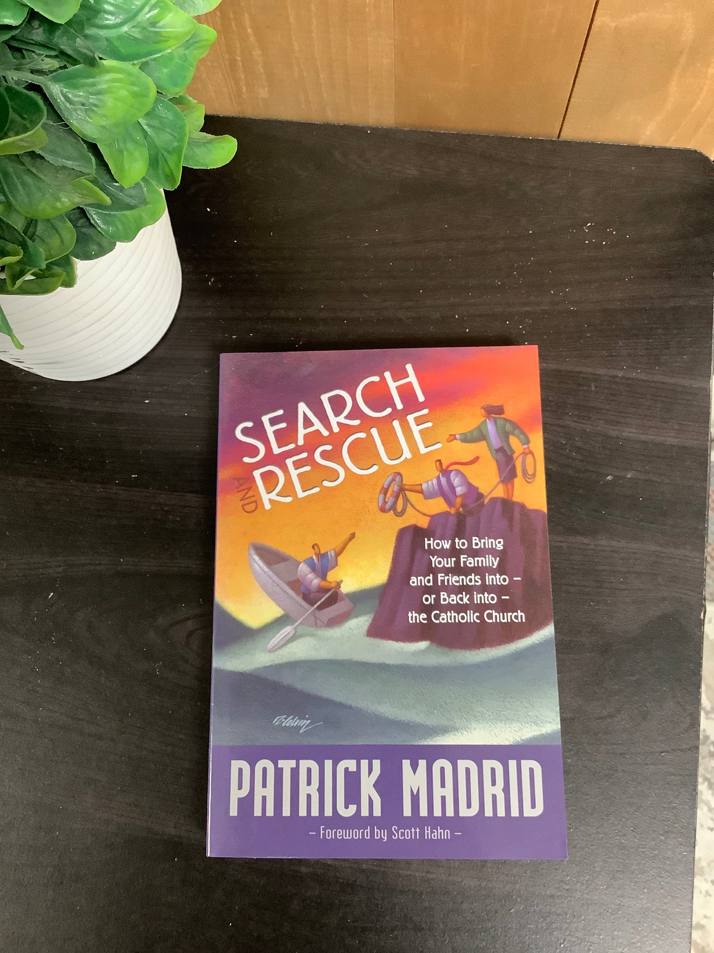 Search and Rescue: How to Bring Your Family and Friends Into - Or Back Into - The Catholic Church