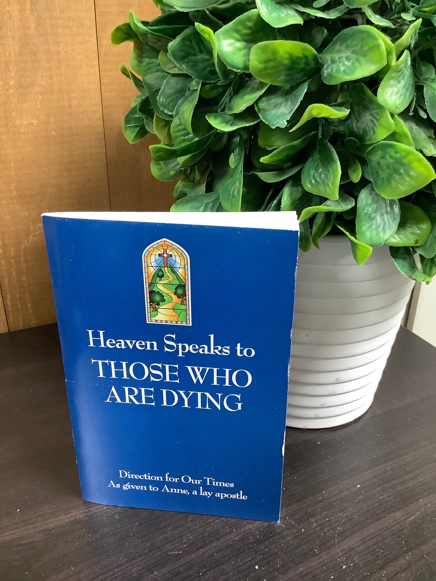Heaven Speaks to Those Who Are Dying