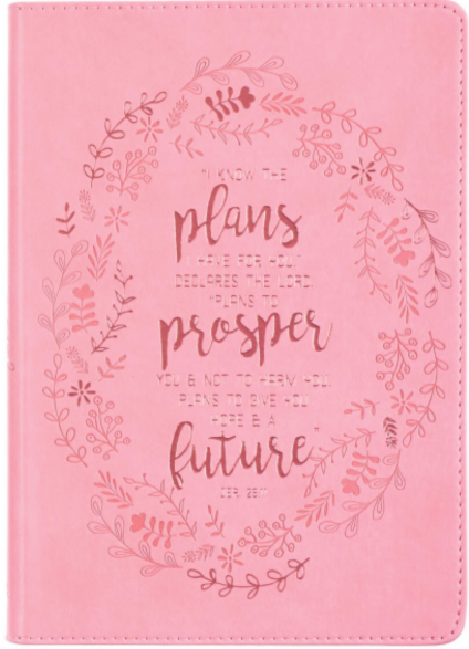 Journal - I Know the Plans