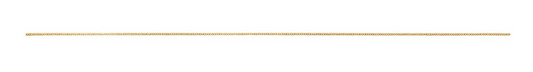 13" Chain - Gold Tone with clasp