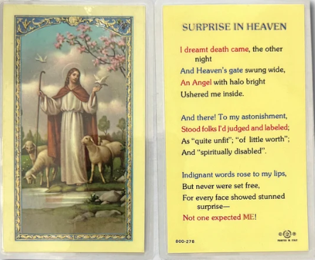 Laminated Prayer Card - Surprise in Heaven