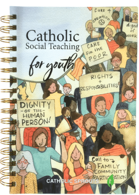 Catholic Social Teaching for Youth