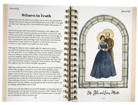 Catholic Social Teaching for Youth