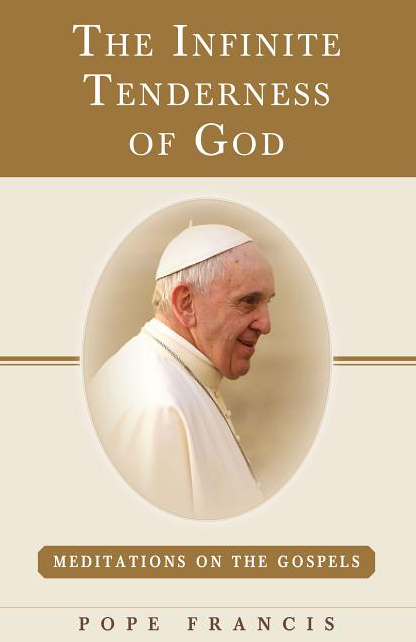 The Infinite Tenderness of God: Meditations on the Gospels: Pope Francis