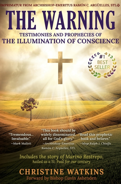 The Warning: Testimonies and Prophecies of the Illumination of Conscience