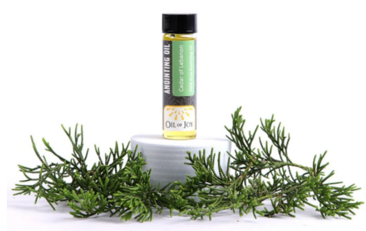 Anointing Oil – Cedars Of Lebanon – 1/4oz