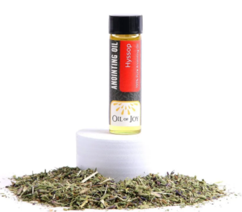 Anointing Oil – Hyssop – 1/4 oz