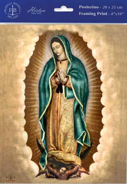 8x10 Print Our Lady of Guadalupe