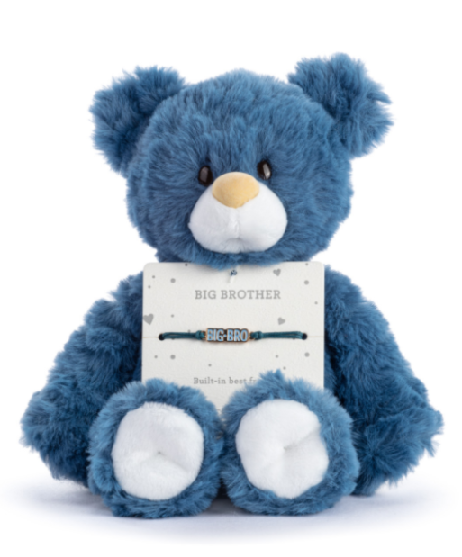 Big Brother Navy Bear