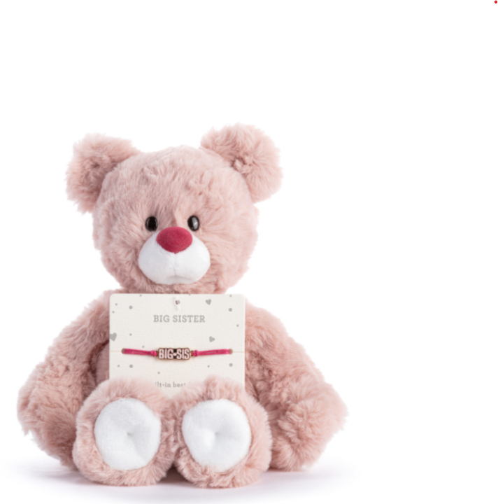 Big Sister Pink Bear