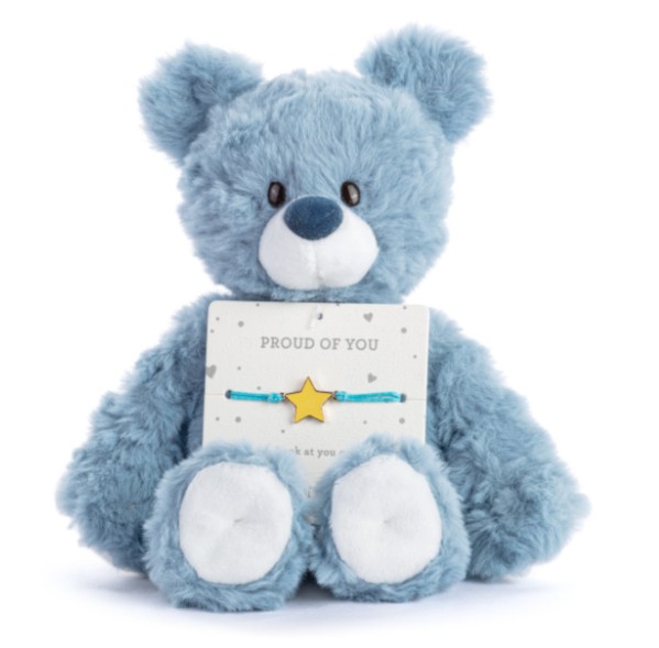 Proud of You Turquoise Bear