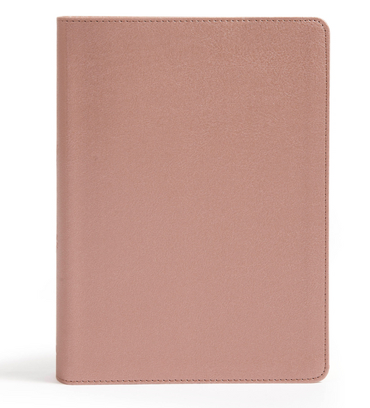 CSB She Reads Truth Bible, Rose Gold Leathertouch: Notetaking Space, Devotionals, Reading Plans, Easy-To-Read Font